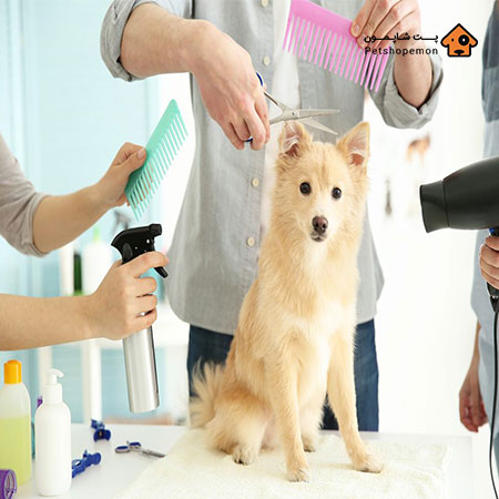خرید لوازم آرایشی بهداشتی سگ
