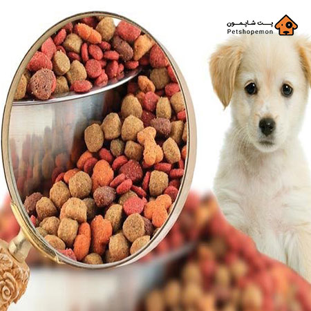 خرید غذا و تشویقی سگ ارزان