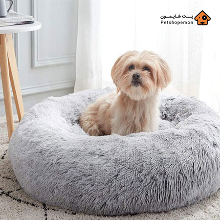 خرید لوازم آرایشی بهداشتی سگ