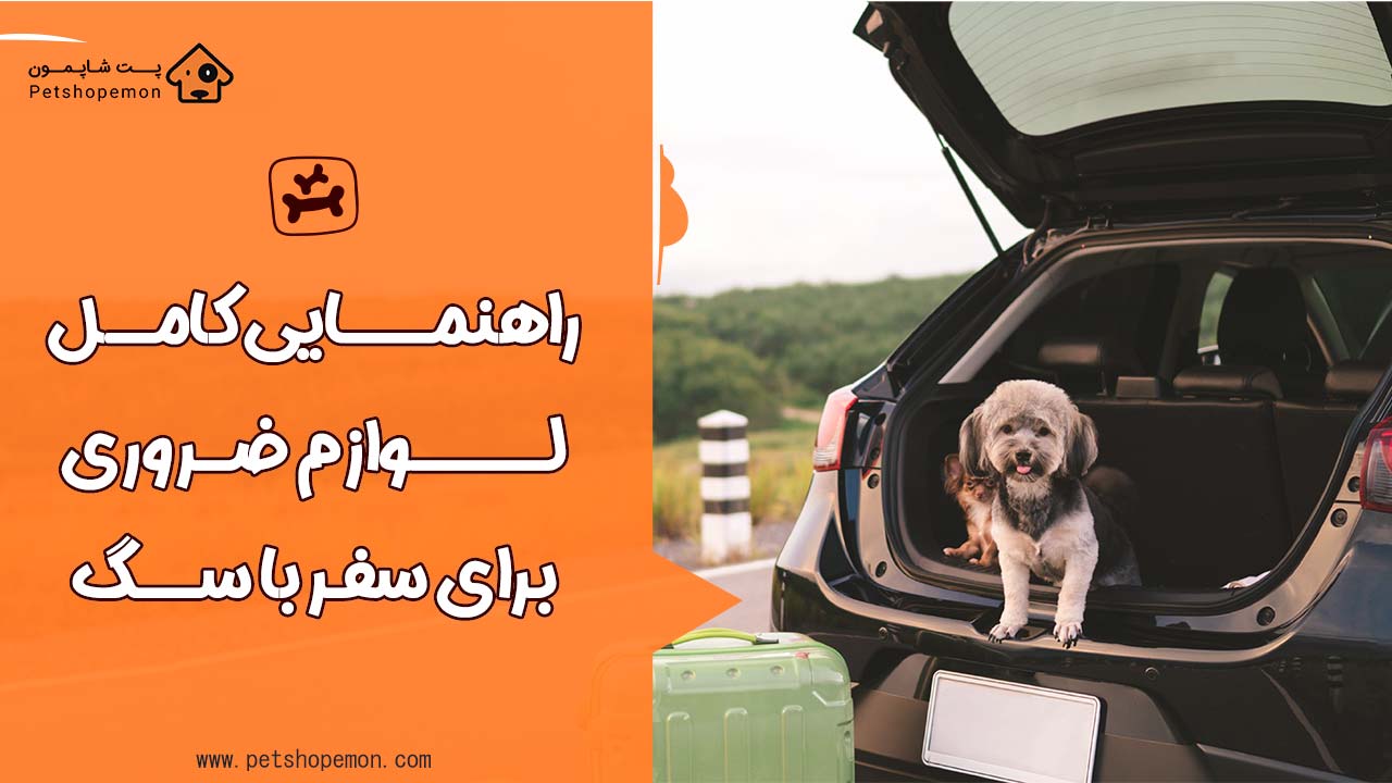 راهنمایی کامل لوازم ضروری برای سفر با سگ