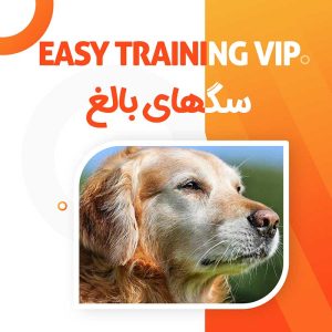 مجازی easy training vip سگ های بالغ