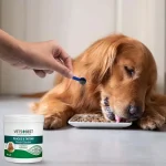 پودر خوراکی دنتال Vet's best مخصوص سگ ها