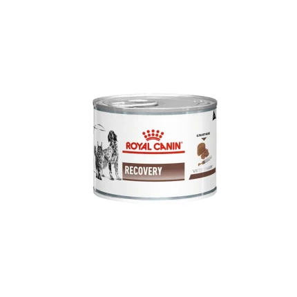 کنسرو ریکاوری سگ و گربه رویال کنین Royal Canin